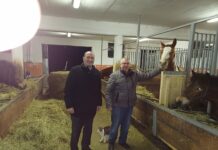 Prihodnost slovenskega kmeta je neločljivo povezana s prihodnostjo Slovenije