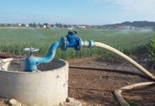 Izzivi in priložnosti razvoja namakanja v slovenskem kmetijstvu