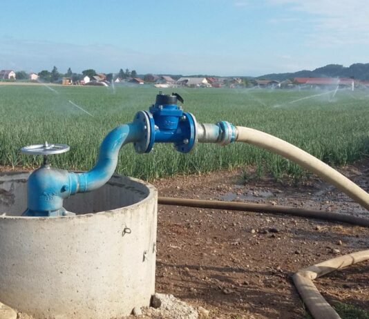 Izzivi in priložnosti razvoja namakanja v slovenskem kmetijstvu