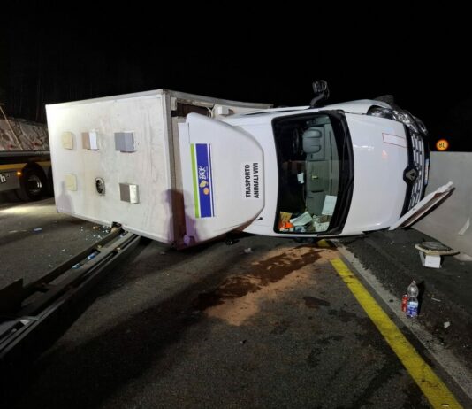 Nesreča na štajerski avtocesti: prevrnil se je tovornjak s perutnino