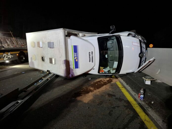 663194457_1379542980886718_3431855285303776749_n