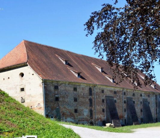 Kdo bo odgovarjal, če Ptuj zaradi nesposobnosti ministrstva in županje izgubi evropski denar?