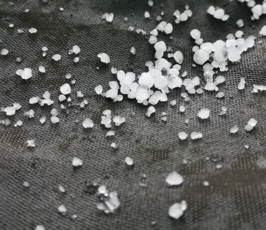 Spodnje Podravje po toči: uničeni posevki, poškodovane strehe in nova opozorila kmetov