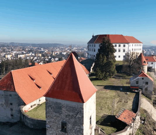 Ptujski milijoni na novo razdeljeni: kam bo šel denar občanov?