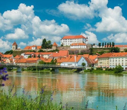 Ptuj poleti dobiva novo energijo: prva Nočna tržnica povezuje ustvarjalce in mesto