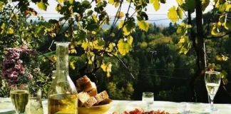 Jesenska kulinarična ponudba prireditve Jesen v Halozah